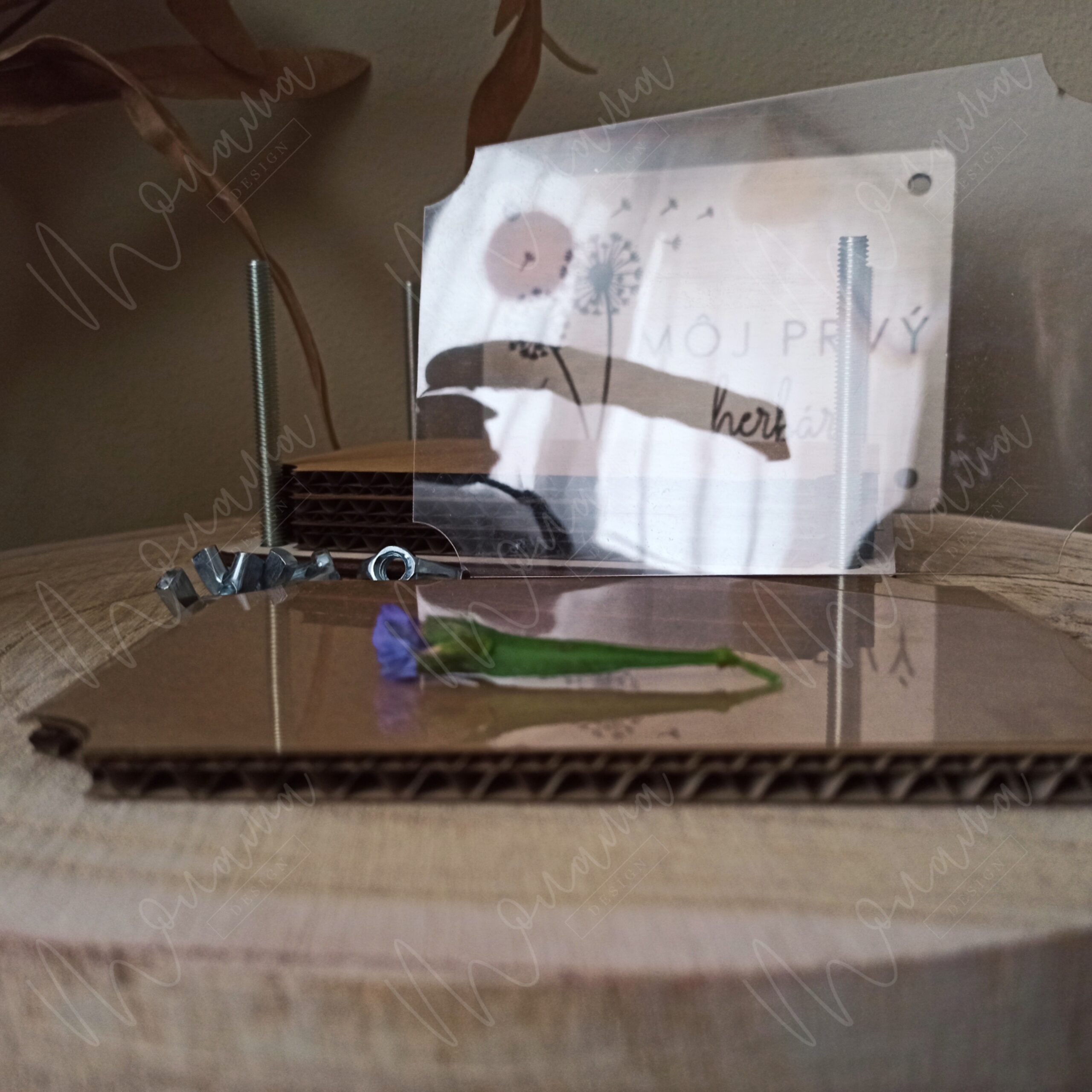 Drevený herbár – ručne vyrobený drevený lis na sušenie rastlín s gravírovaným predným dielom 'Môj prvý herbár' a montážnymi skrutkami.